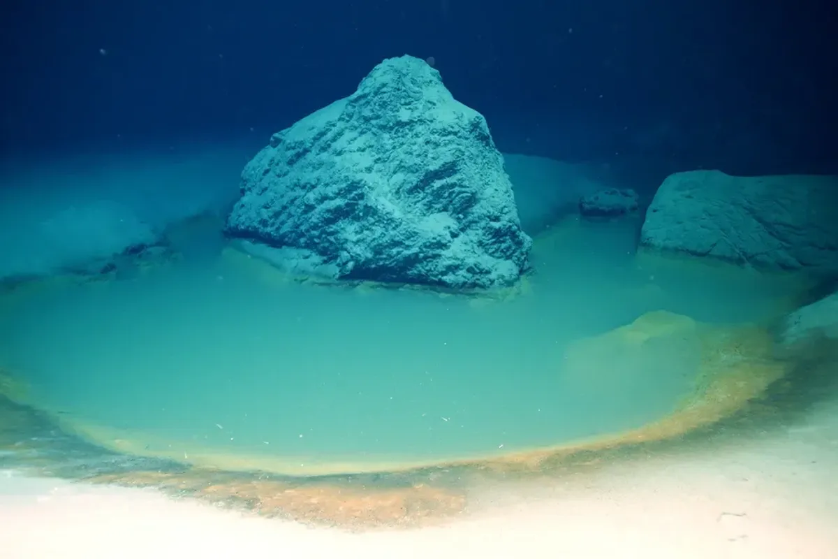 'death pool' discovered at the bottom of the sea that kills everything 'immediately'