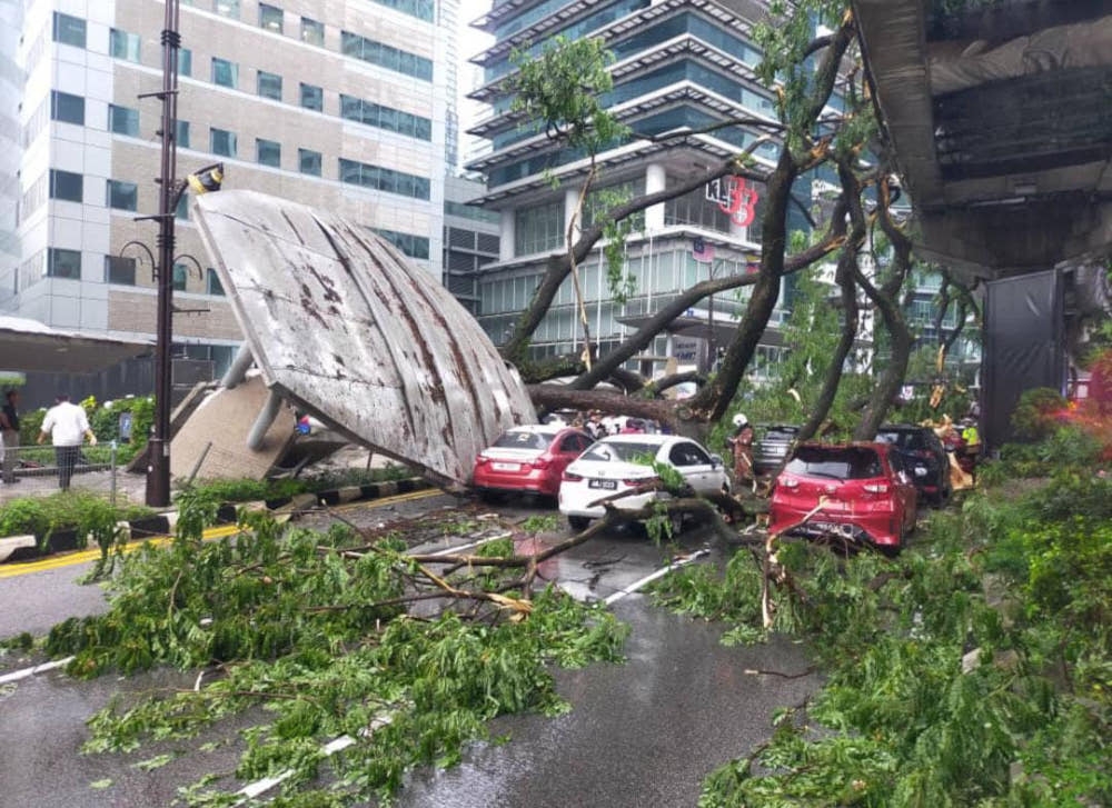 one killed, another injured after tree falls on road, monorail track along kl’s jalan sultan ismail