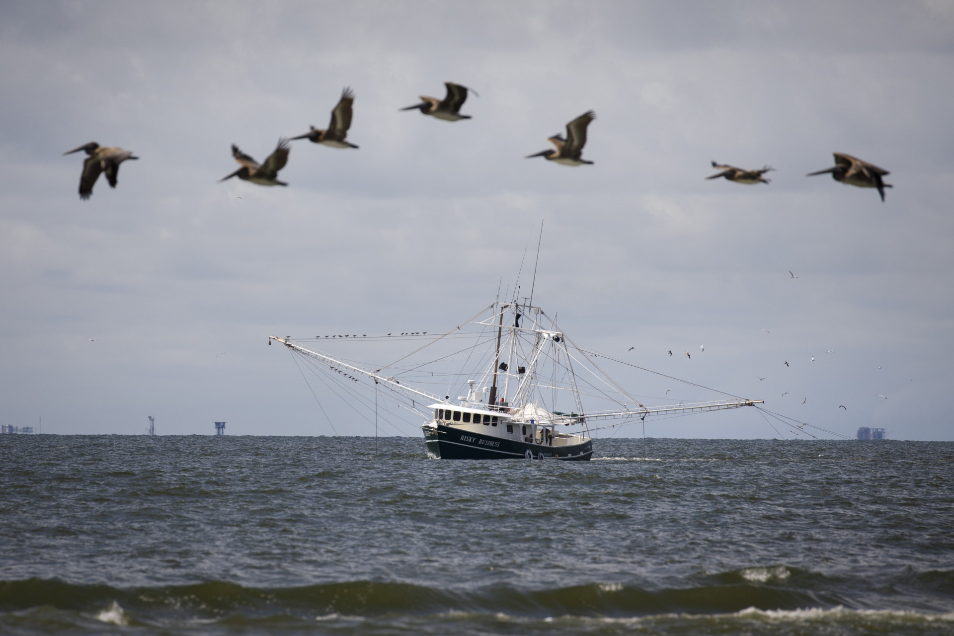 Deadly fishing methods that destroy the environment