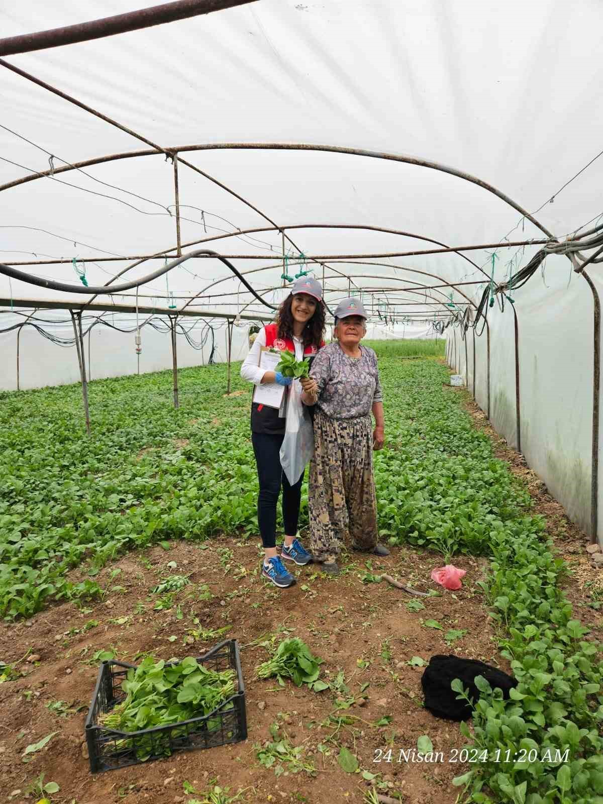 eskişehir’de sağlıklı tarımsal üretim çalışmaları devam ediyor