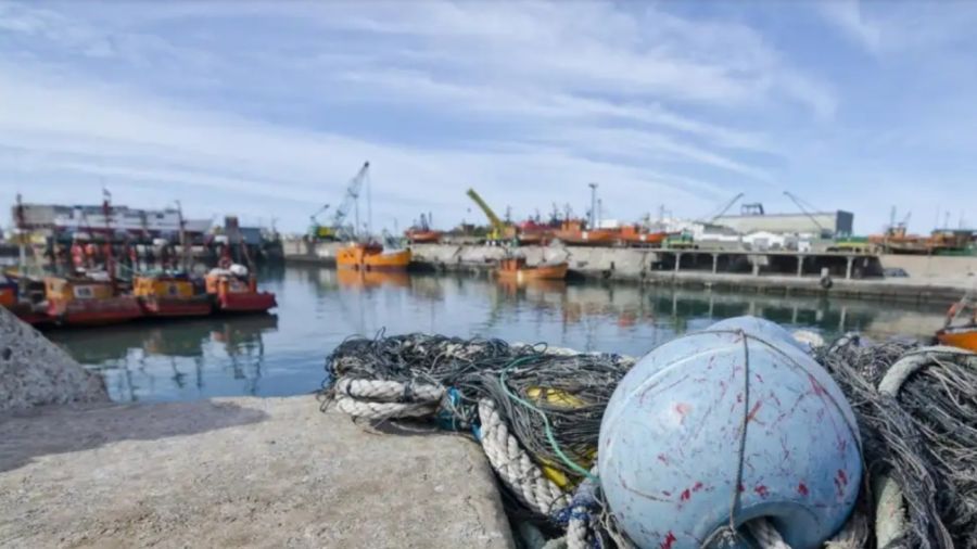 pesca ilegal de merluza negra: el empresario chino fue habilitado a venderla tras pagar una multa más baja