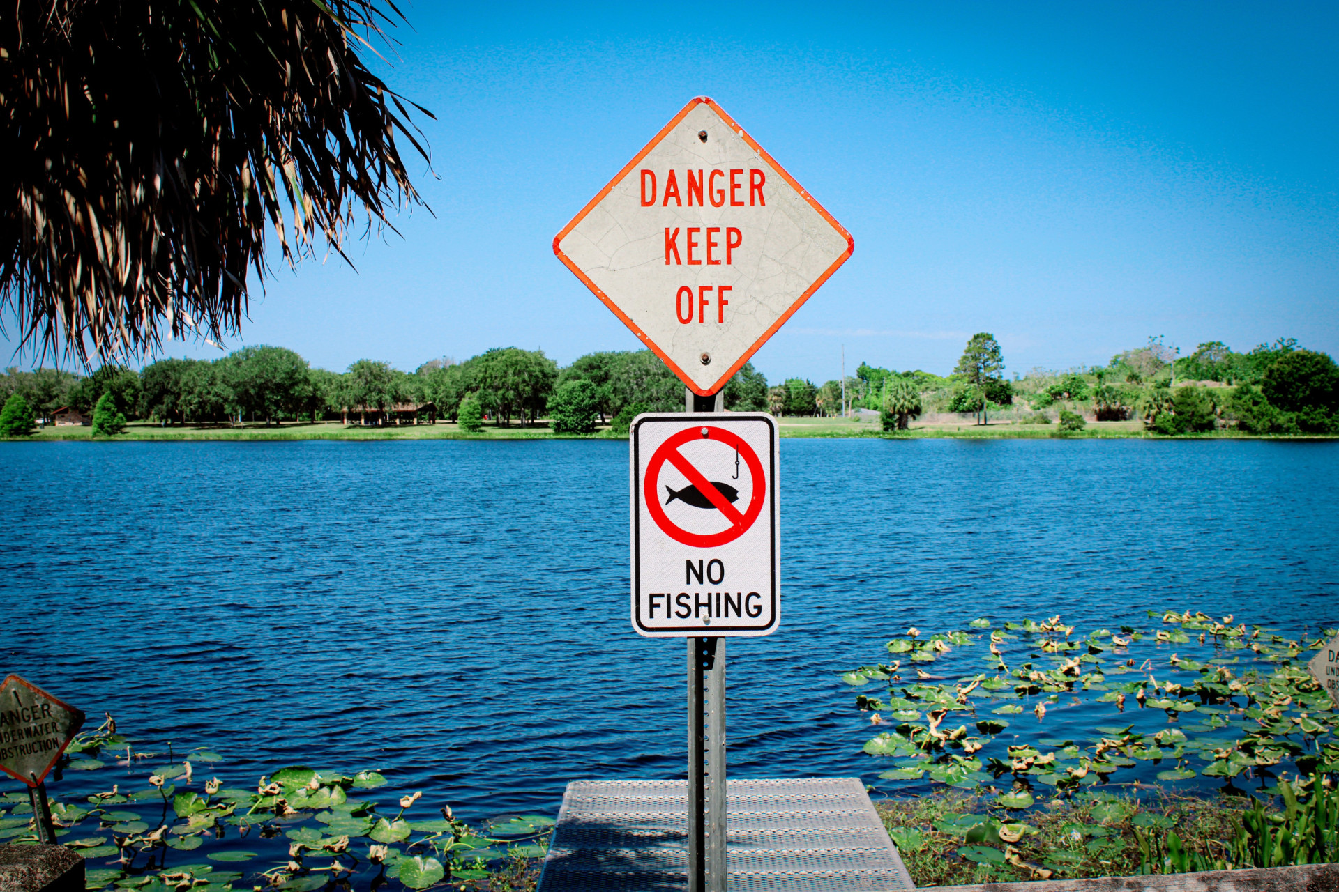 Deadly fishing methods that destroy the environment