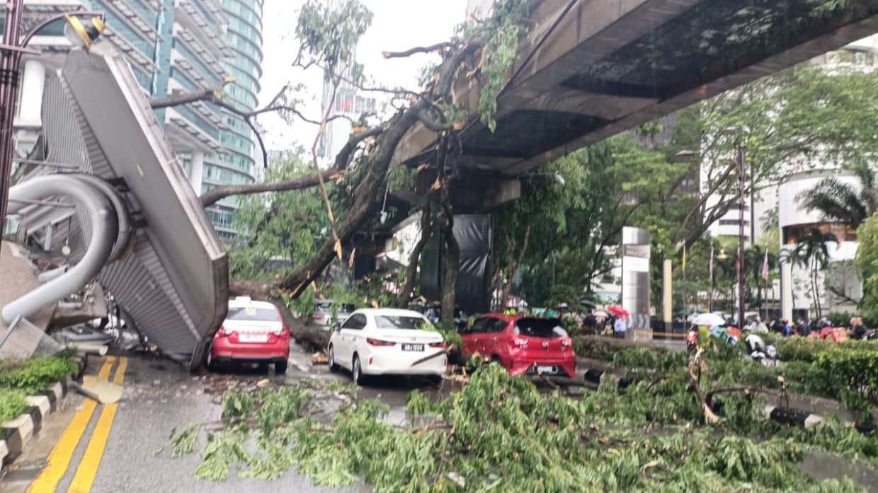 swedish woman also injured by fallen tree in kl city centre
