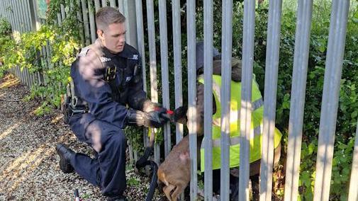 police save deer stuck in railings