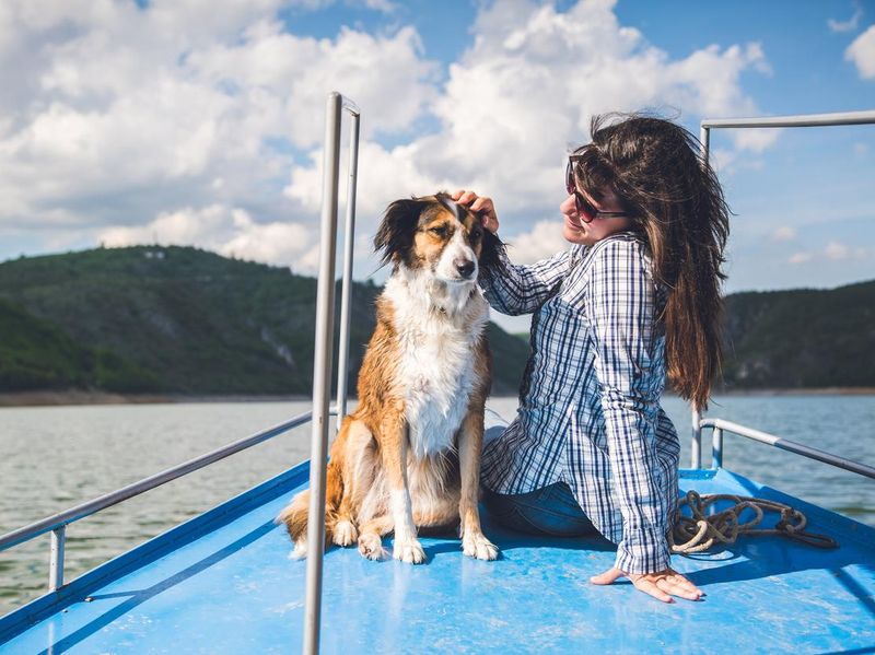 30 best dog activities to do with your pup