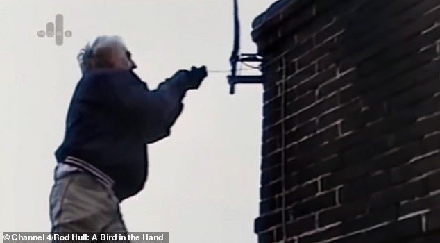 the tragic fall that led to rod hull's death as he fixed a tv aerial