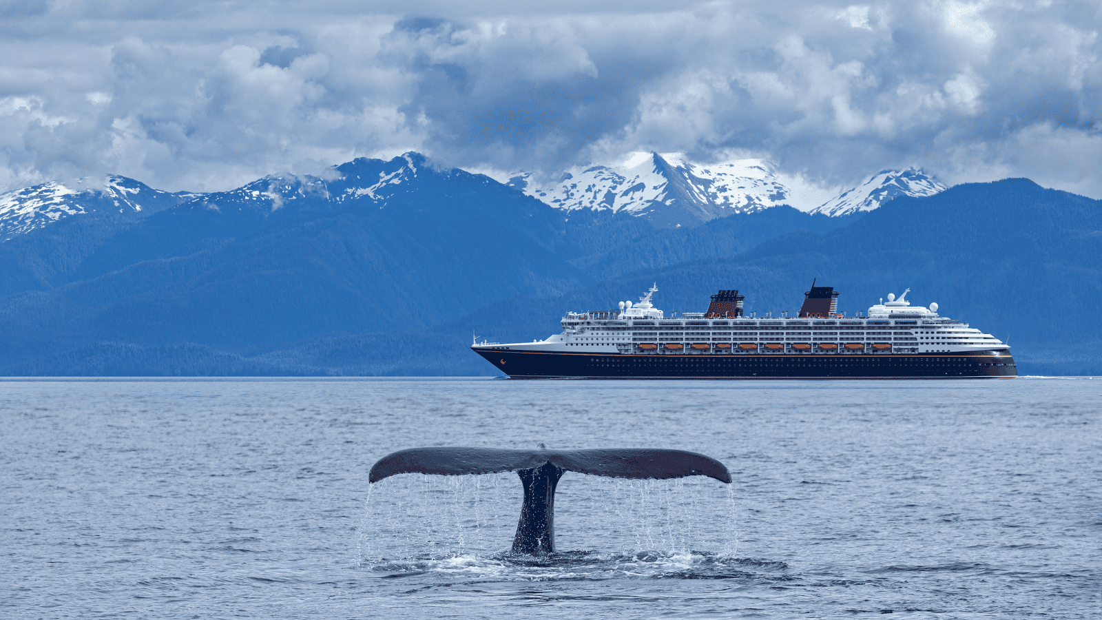 <p><a href="https://www.silversea.com/destinations/alaska-cruise/seward-anchorage-alaska-to-vancouver-ss240510s13.html" rel="nofollow external noopener noreferrer">Silversea Cruises</a> provides splurge-worthy excursions along the Alaska coastline. Witness jaw-dropping views between Seward and Vancouver during 13 luxurious days of cruising. During your voyage, you’ll get a personal butler who will attend to any need you may have. These boats also don’t have any interior cabins, so you’ll be able to take in all of Alaska’s incredible views from the comfort of your room.</p><p>Itinerary highlights include the gold rush town of Wrangell and whale-watching in Haines. Tour Alaska’s remote environment without sacrificing comfort on Silversea’s premier cruise. </p>