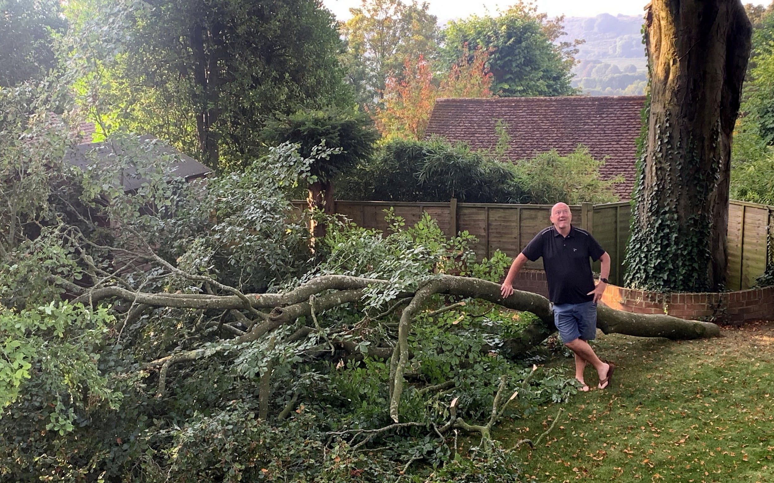 couple ‘fear for their lives’ after being blocked from felling limb-shedding tree