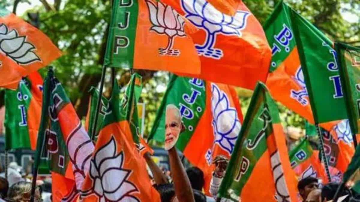 india: arunachal bjp expels 28 members for contesting elections against official party candidates
