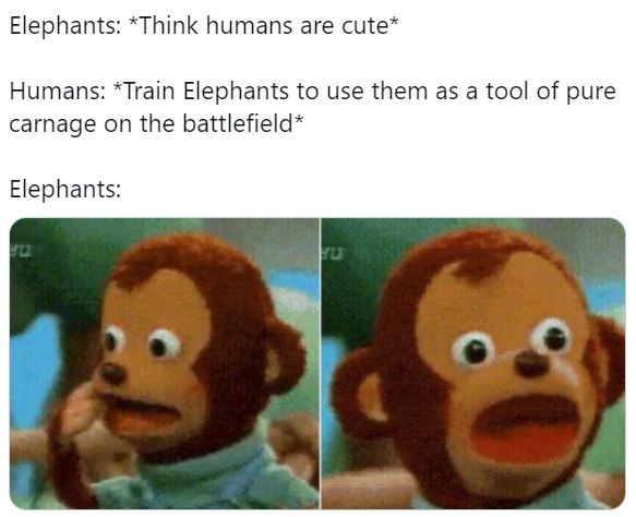 Elephants Do Think Humans Are Cute