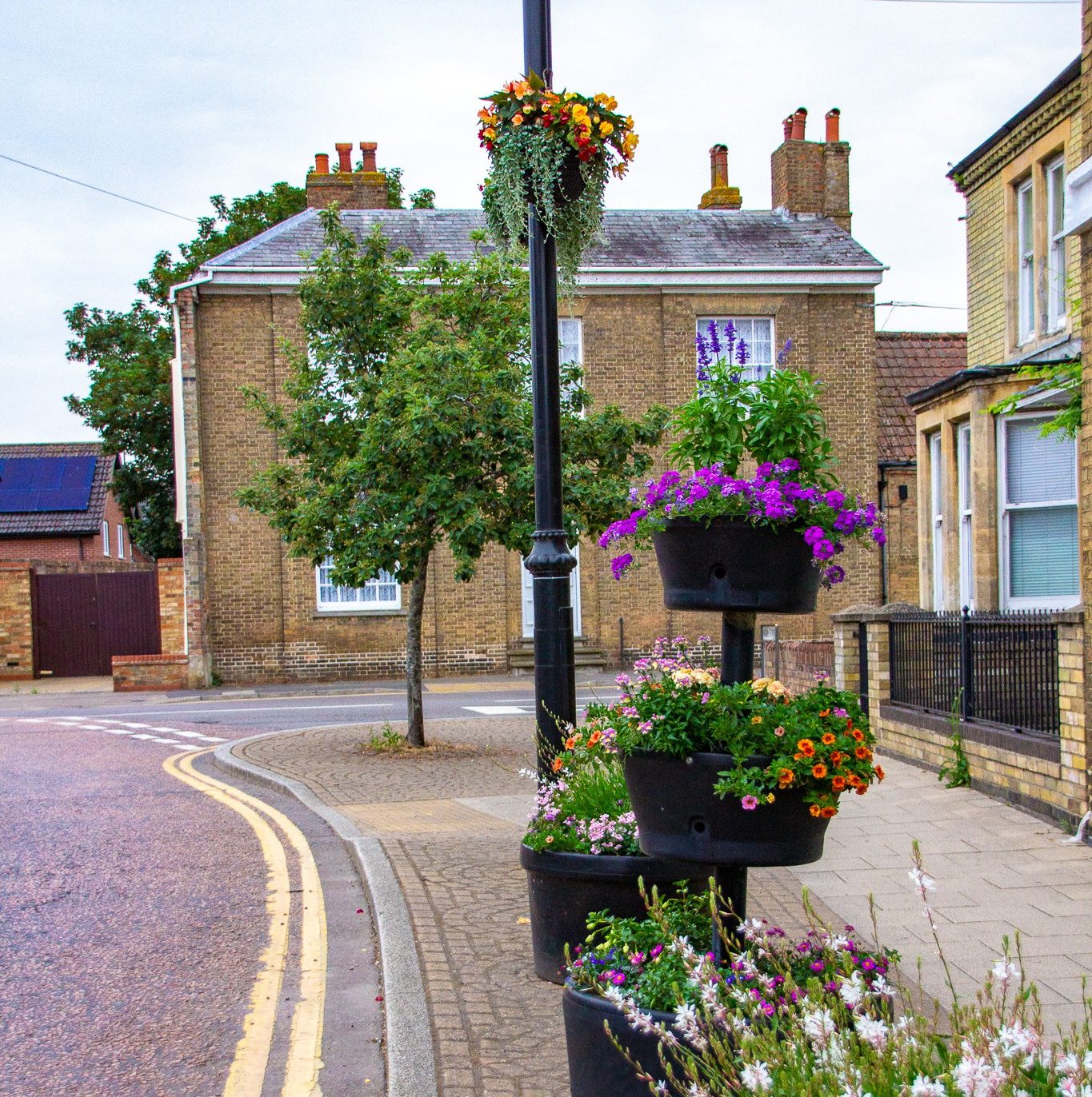 take £300 health and safety course before installing hanging baskets, council tells volunteers