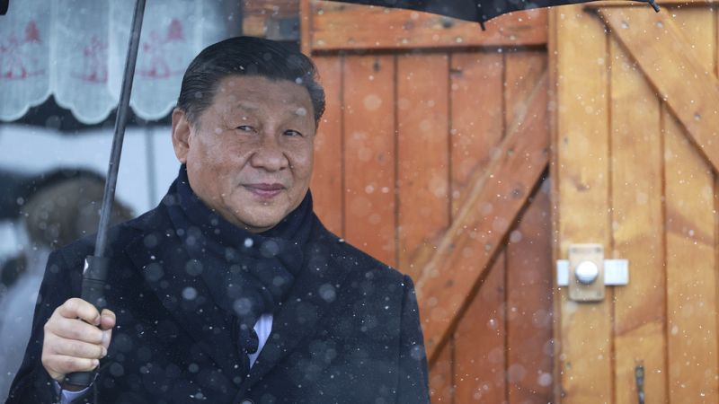 macron macht mit chinas präsident xi einen ausflug in die pyrenäen