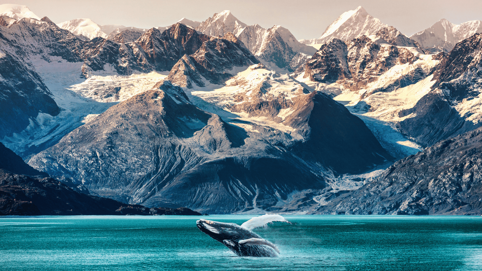 <p>Book yourself an unforgettable getaway to Alaska onboard a Vancouver-to-Vancouver <a href="https://www.crystalcruises.com/cruises/none-cse-007-240702" rel="nofollow external noopener noreferrer">Crystal Cruises</a> trip. Over eight days, cruise passengers will travel up the northern coast, with stops in Sitka, Skagway, and Ketchikan. Crystal specializes in top-notch service, providing all you need for an exceptional vacation. </p>