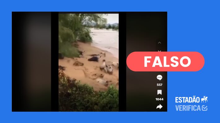 vídeo de bois arrastados por enchente foi gravado no méxico, não no rio grande do sul