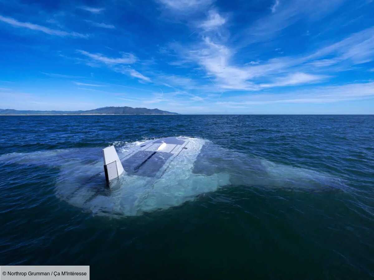 cette raie manta géante est en fait un drone sous-marin de l'armée américaine