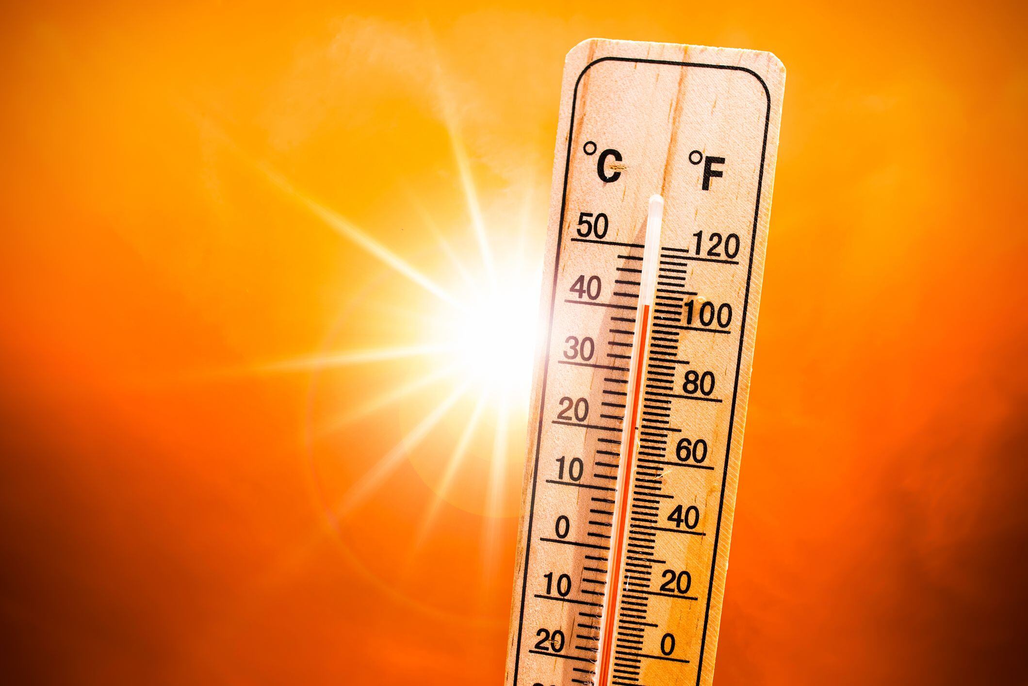 ¿cuál es el clima más saludable para el cuerpo, el frío o el calor? esto dicen expertos
