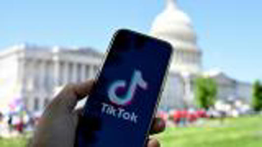 TikTok sues to block prospective US app ban<br><br>