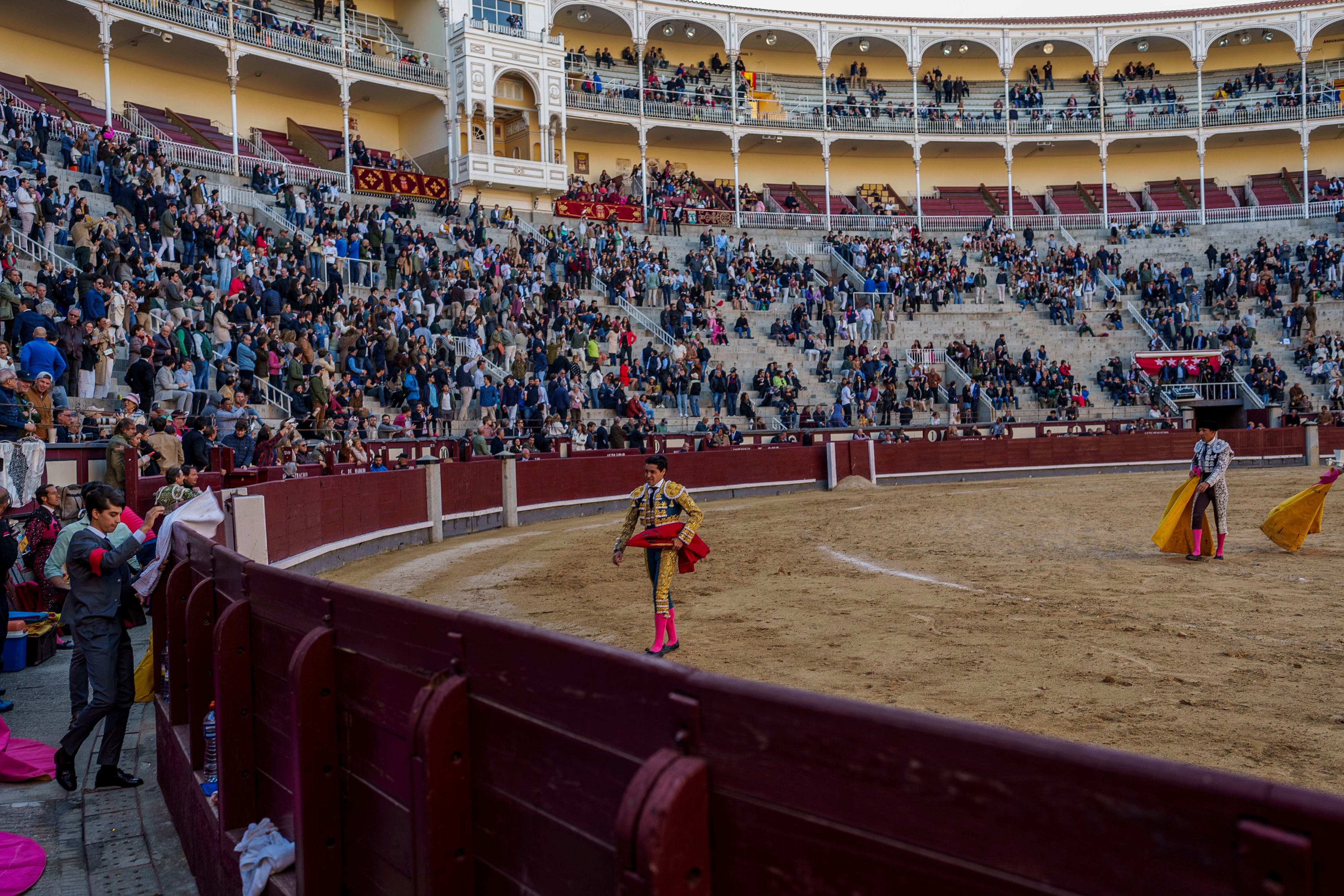 por qué las corridas de toro nuevamente están en la polémica en españa