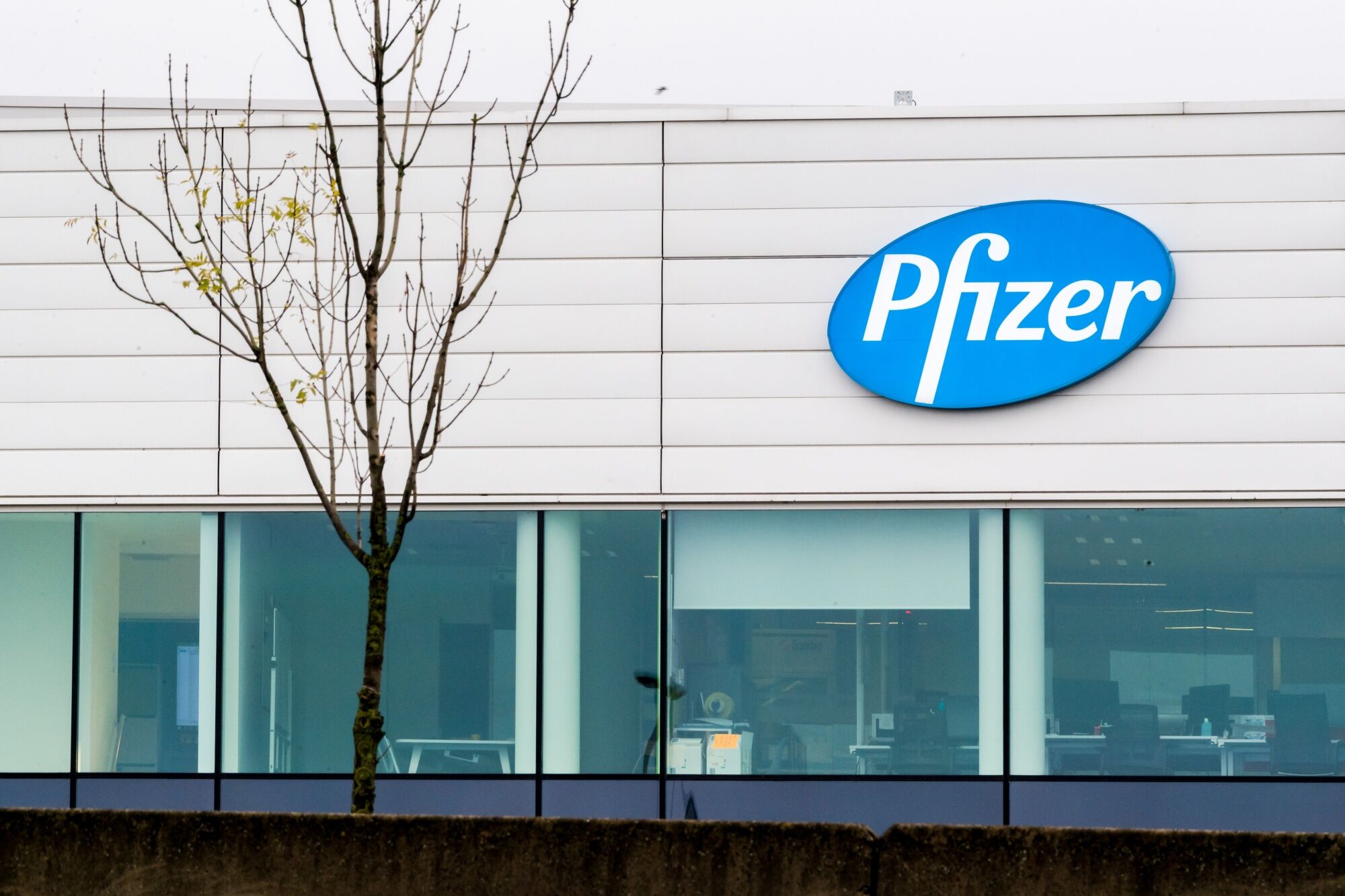 pfizer pauses gene therapy trial for muscle disease after death