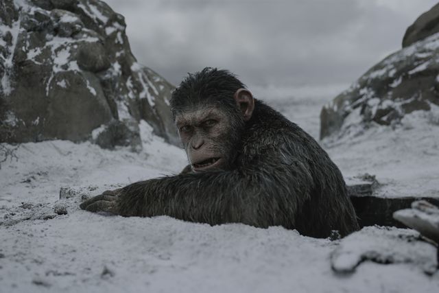 how to, how to watch all of the “planet of the apes” movies in order