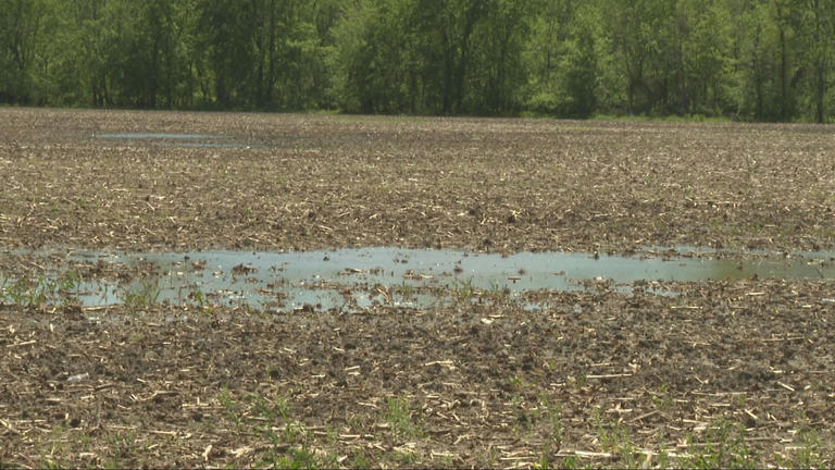 Wet April Could Bring Lower Corn Yields To The Heartland