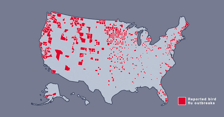 Map shows where bird flu is spreading in US amid new warning