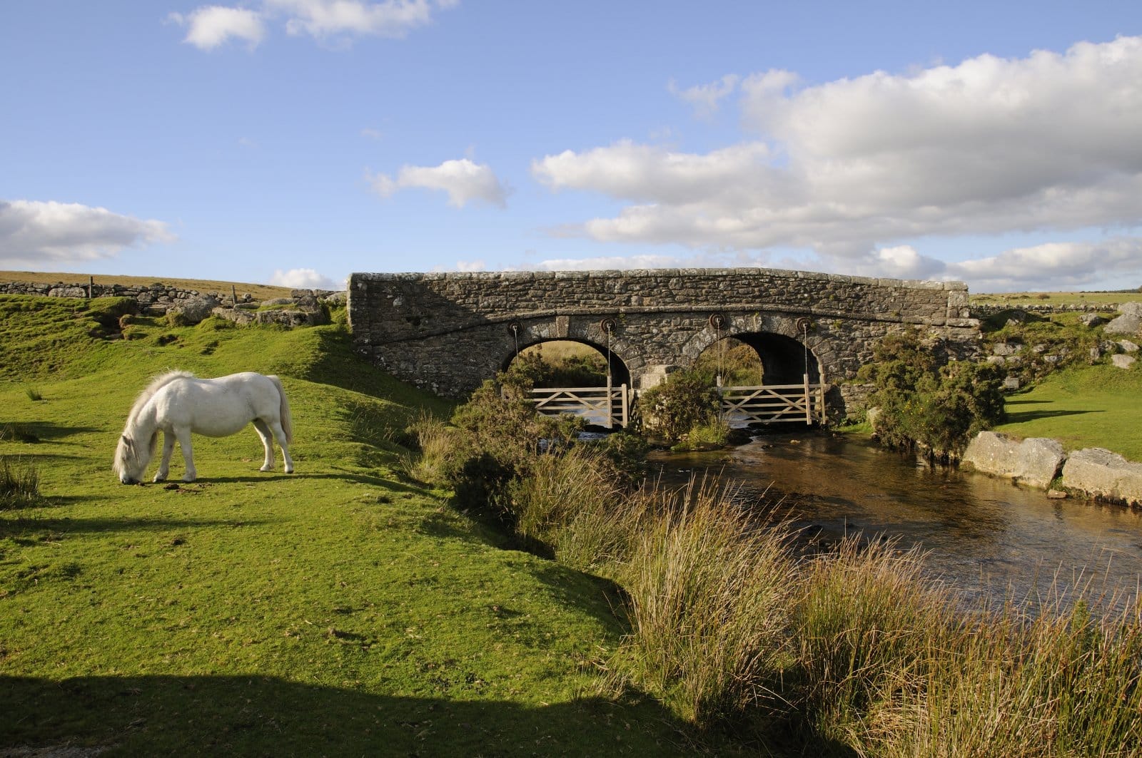Image Credit: Shutterstock / Peter Titmuss <p>Surrounded by natural beauty, Dartmoor is also encircled by internet connectivity issues. Working remotely here means planning around patchy service.</p>