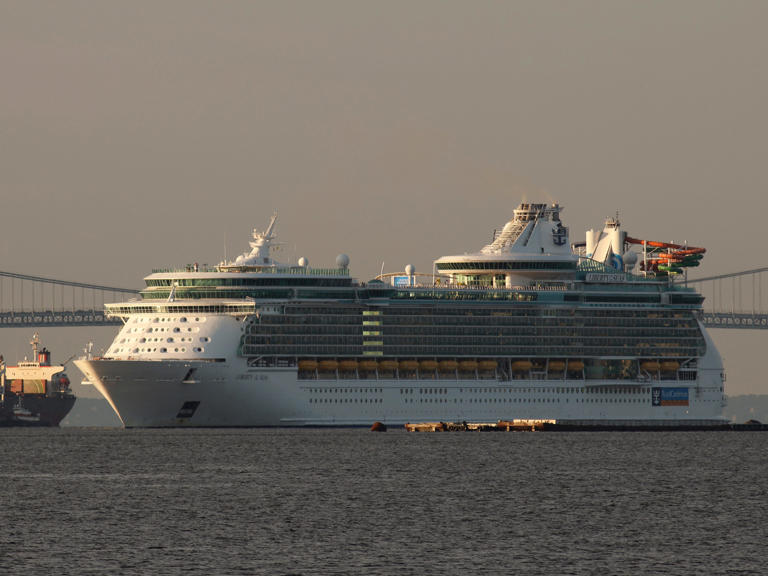 'Drunk' 20-year-old man missing after jumping off a Royal Caribbean cruise ship
