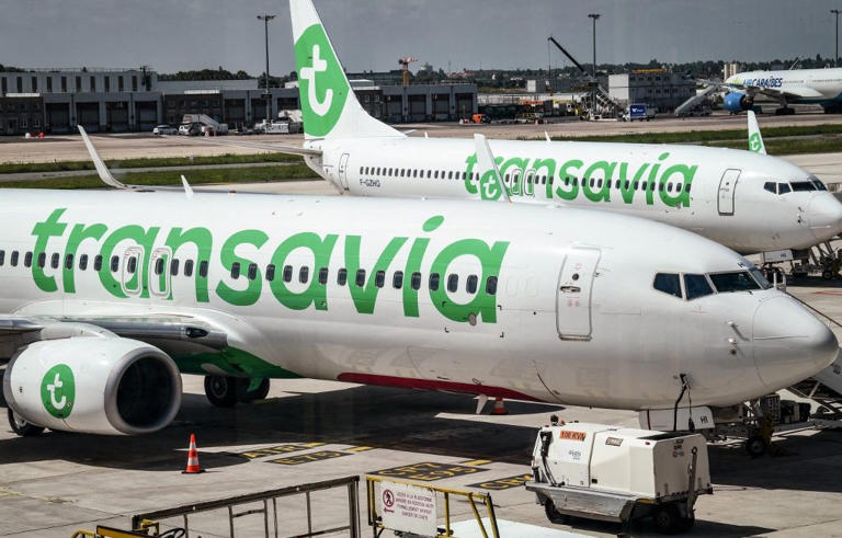 Depuis le 3 avril 2024, les bagages placés en cabine sont payants sur les vols de la compagnie Transavia.