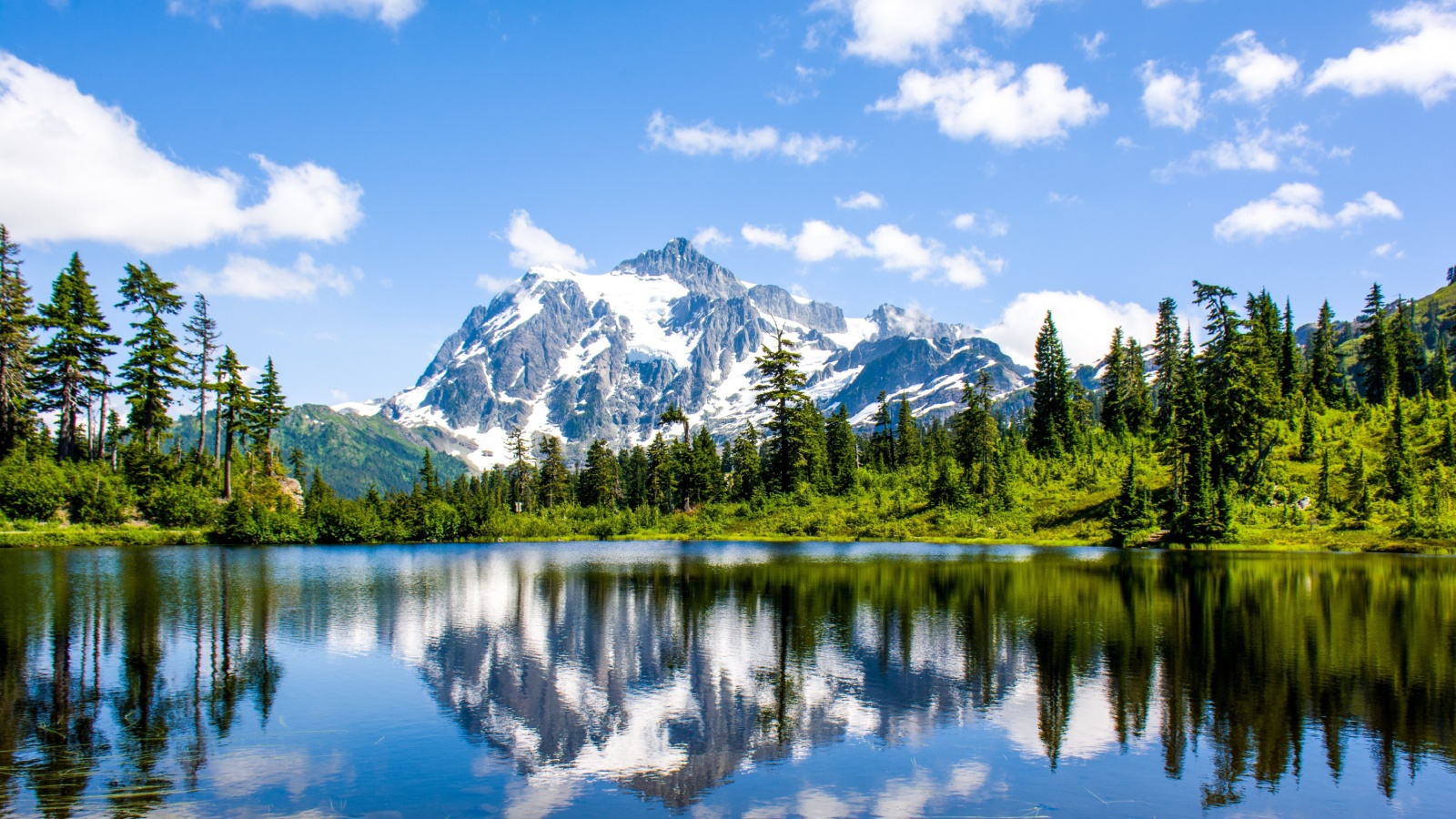 image credit: SoisudaS/Shutterstock <p>The strategy focuses on the north-central regions of Washington, where vast forests, mountains, and valleys form an ideal habitat for grizzly bears. The North Cascades area is identified as one of the very few locations in the Lower 48 states capable of supporting a sustainable grizzly bear population, proposing the introduction of up to 200 bears over the next century.</p>