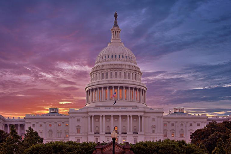 2024 could be the year to visit Washington DC