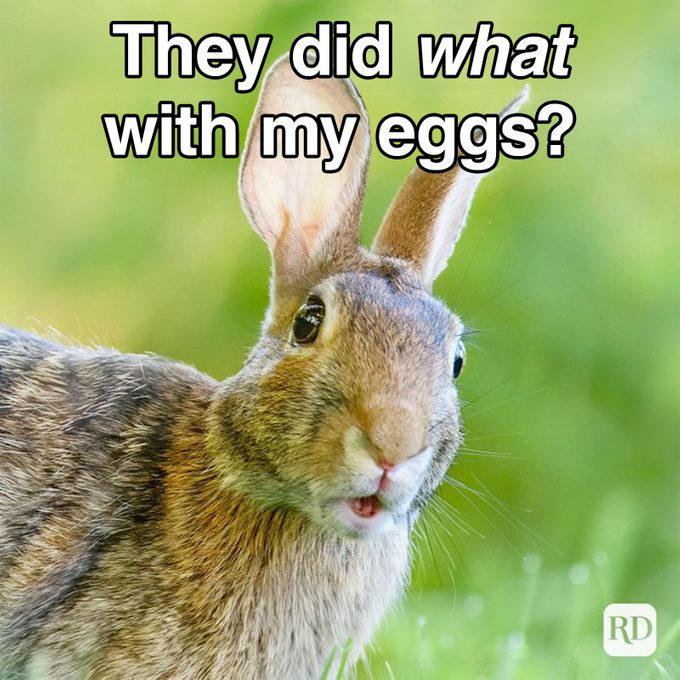 43 hilarious Easter memes that will make any-bunny laugh