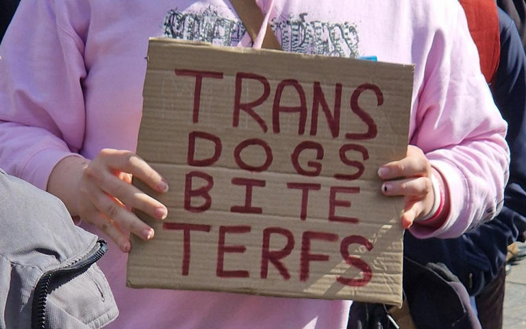 Women Scotland, a campaign group, told The Telegraph that banners held by pro-trans activists were 'deliberately going out to cause upset'