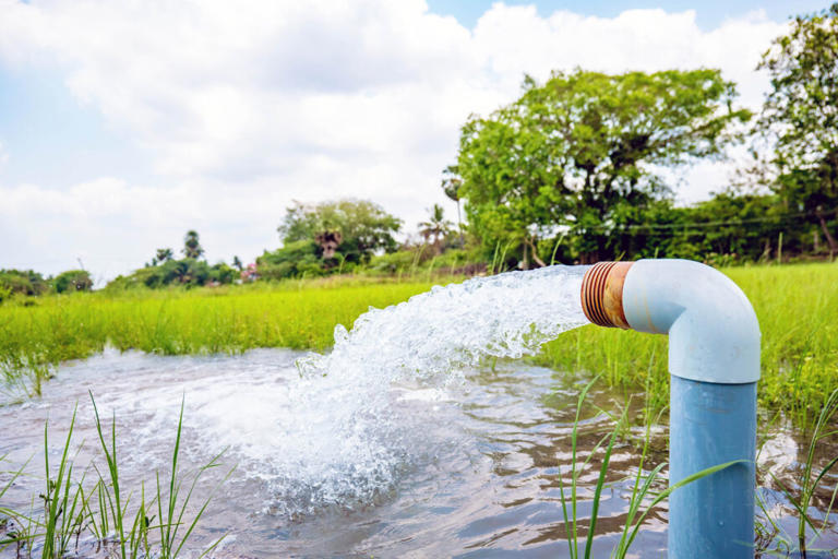 Groundwater plays a critical role in ecosystem health