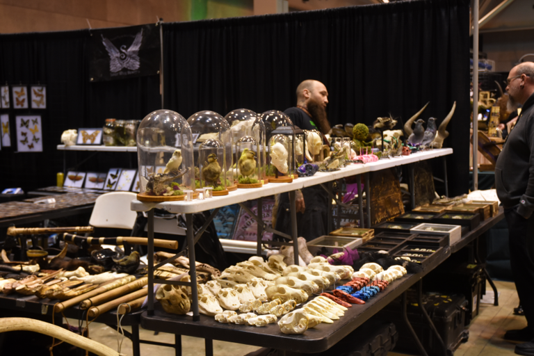 Step Into the strange St. Louis Oddities & Curiosities Expo