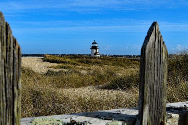 Human skull and ‘many’ bones found by hunters in Nantucket swamp grounds