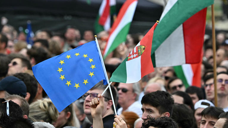 ‘Hungarians rise’: Tens of thousands protest against Orban in Budapest