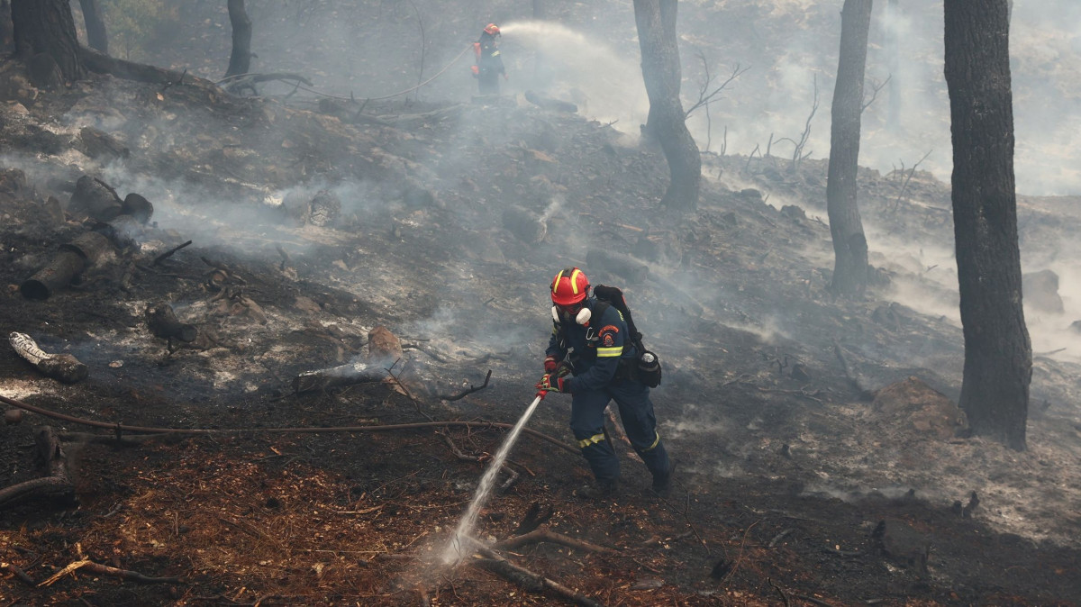 φωτιά στο λασίθι: υπό μερικό έλεγχο με διάσπαρτες εστίες - στάχτη πάνω από 2.000 στρέμματα