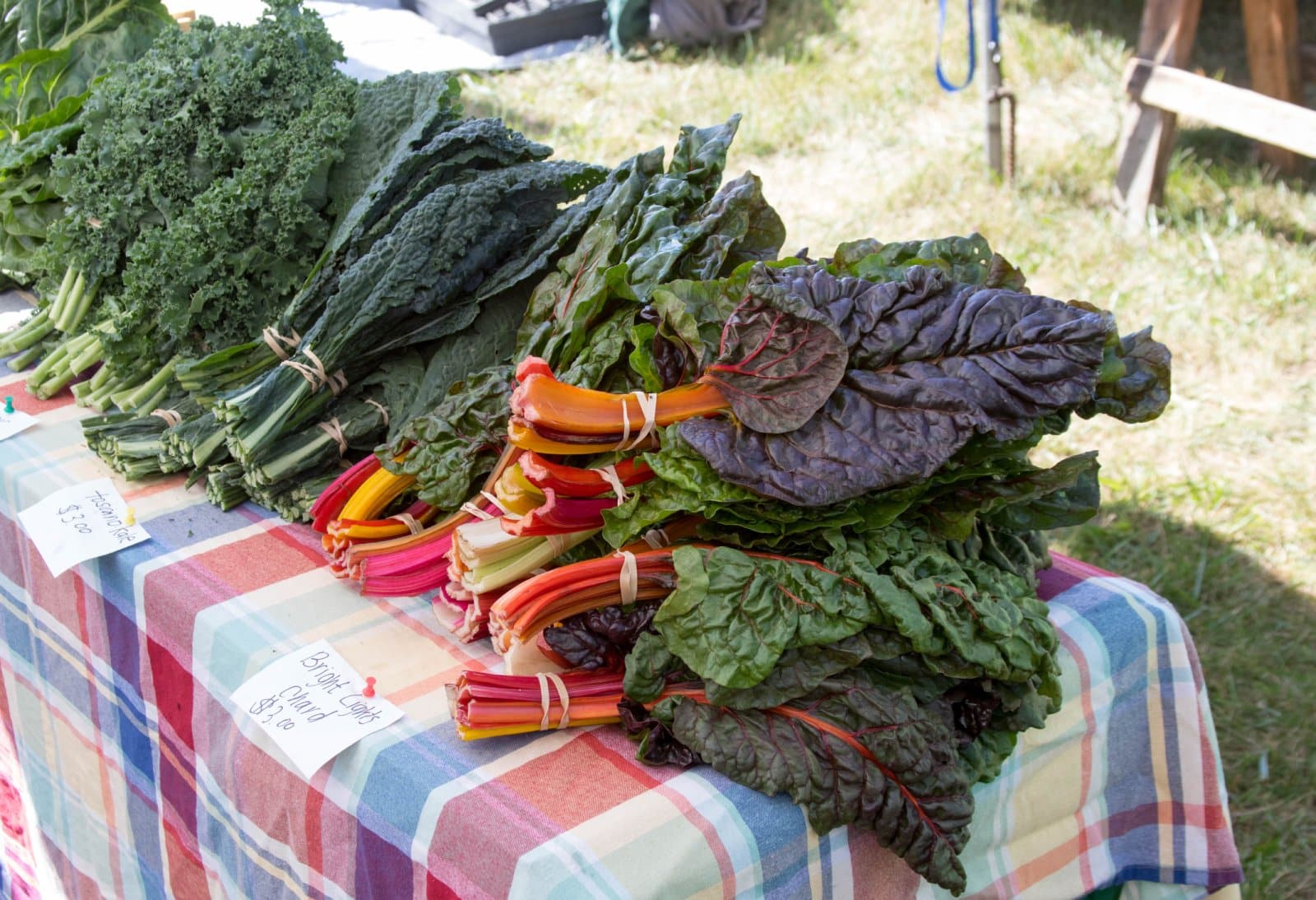 <p class="wp-caption-text">Image Credit: Shutterstock / Peter Pierce</p>  <p>Experience the best of Maine’s organic farming and sustainability at the Common Ground Country Fair. With a focus on local food, crafts, and community, it’s an enriching experience for a minimal entry fee.</p>