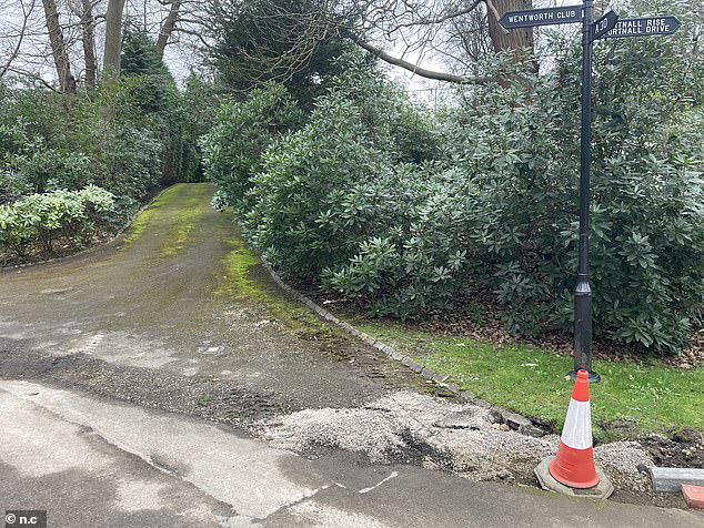 A picture of one of the roads on the estate covered in moss. Parts of the exclusive estate have been left abandoned