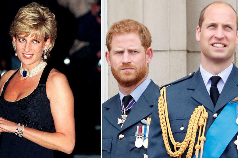 Princess Diana had hoped brothers Harry and William would remain 'as close as possible'