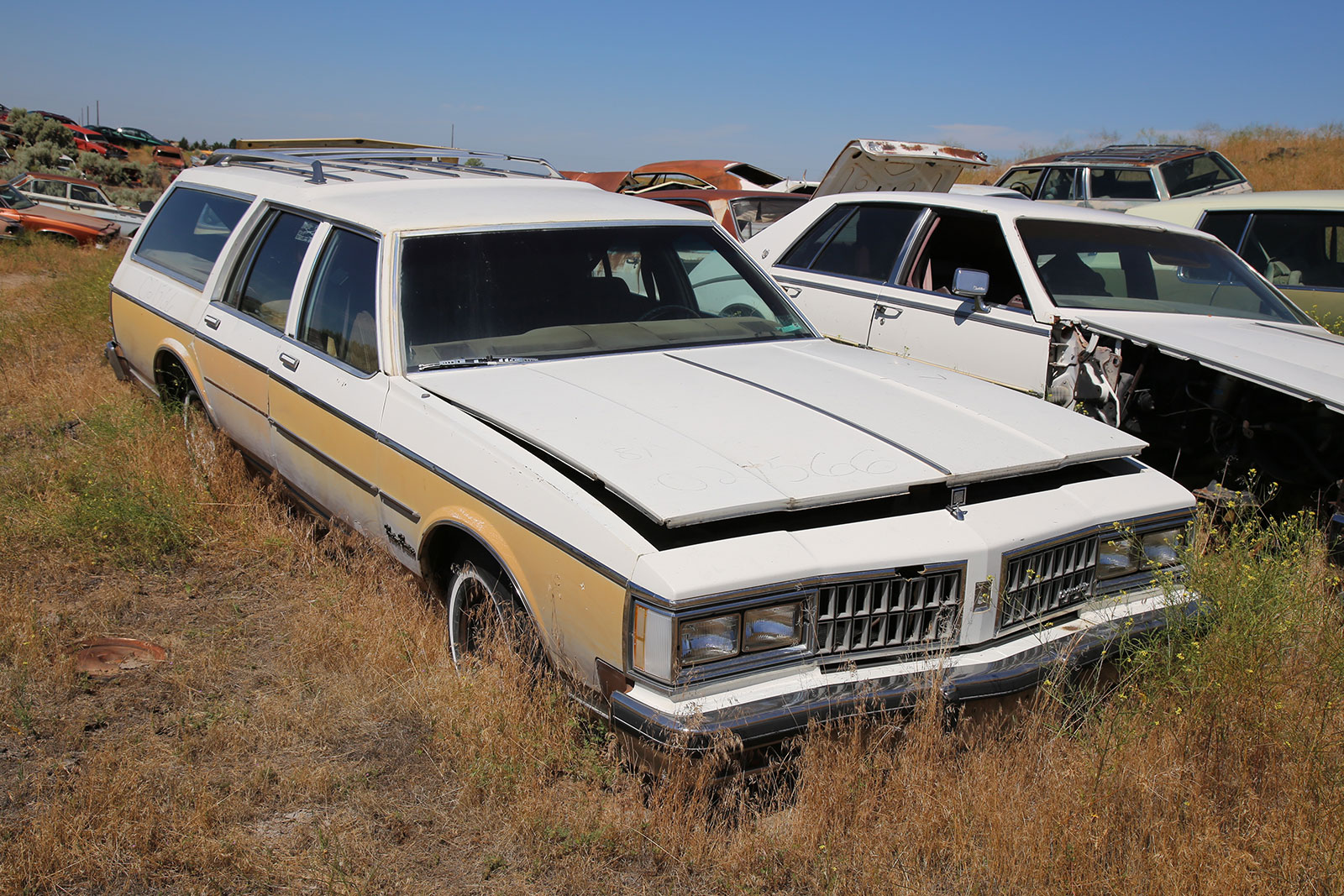 Is this the world's finest car junkyard?