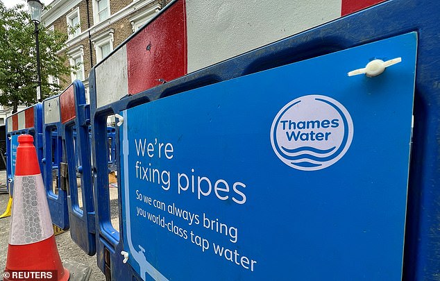 thames water spends millions of pounds a week on consultants and bankers as the firm struggles financially