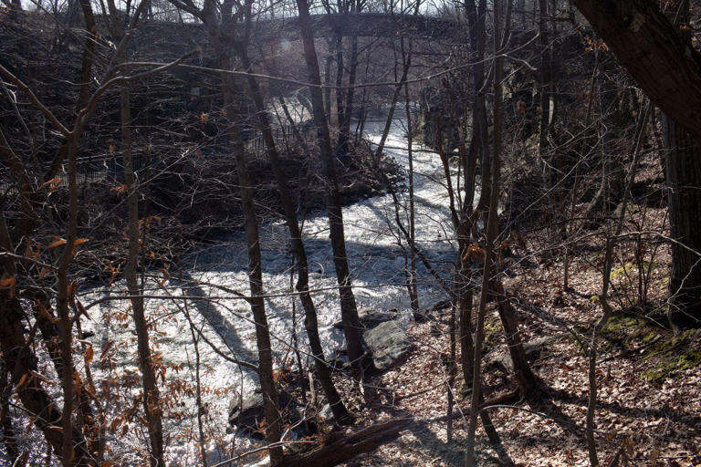 Con Edison leaked 1,000 gallons of insulating fluid into the Bronx River