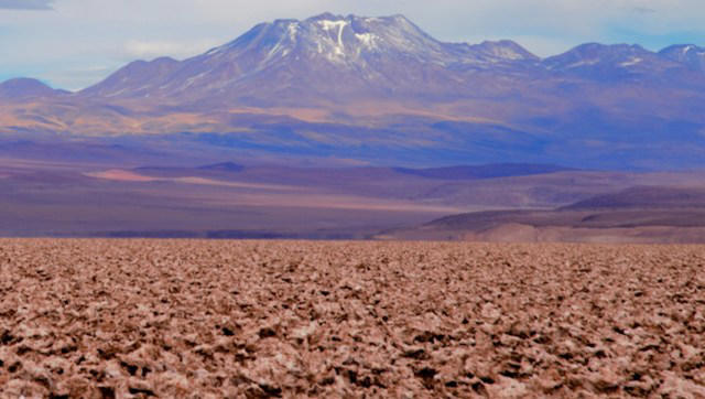 Photo of staggering issue in Chile's Atacama Desert sparks debate ...