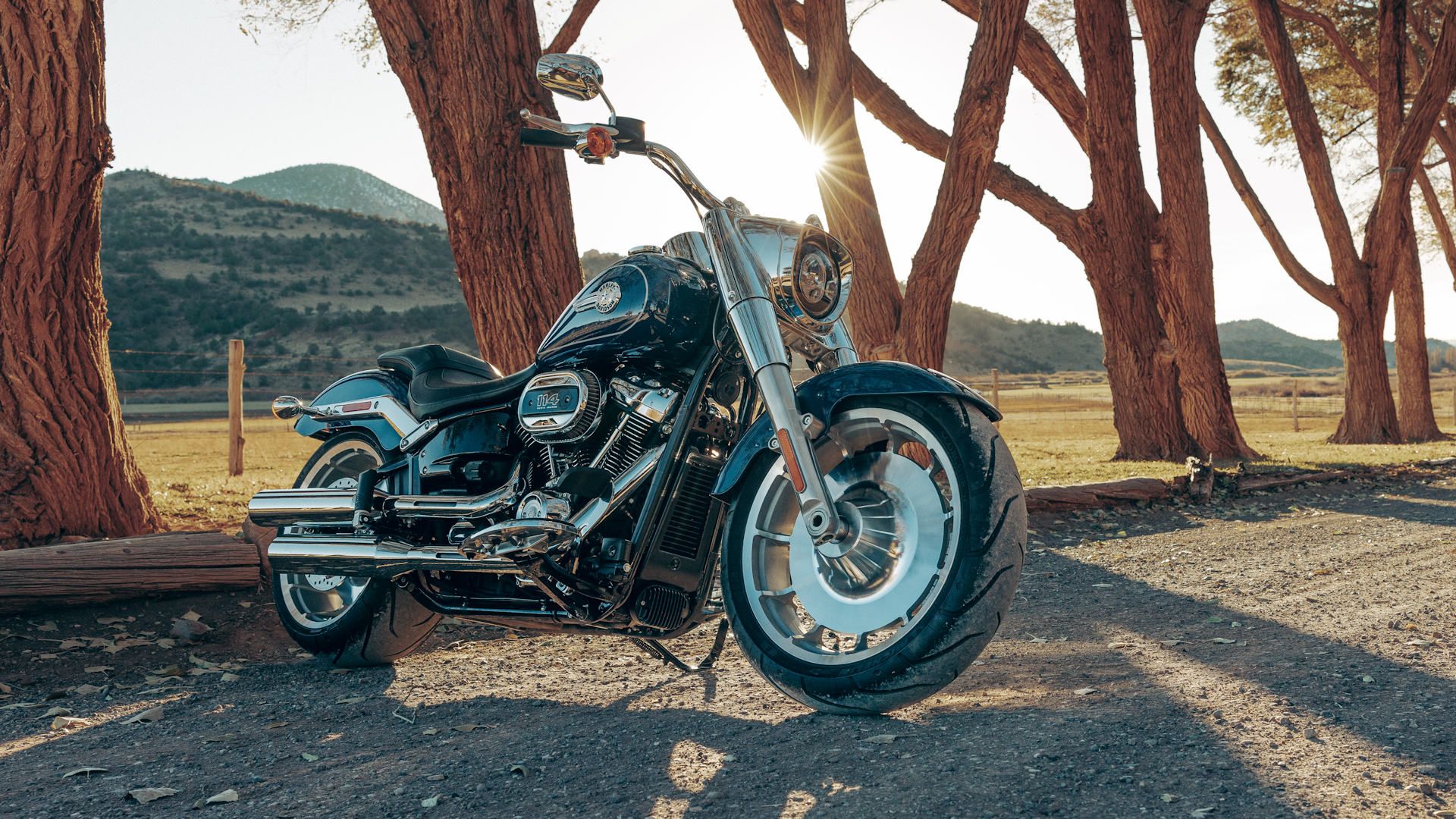 the biggest harley-davidson motorcycles, ranked by weight