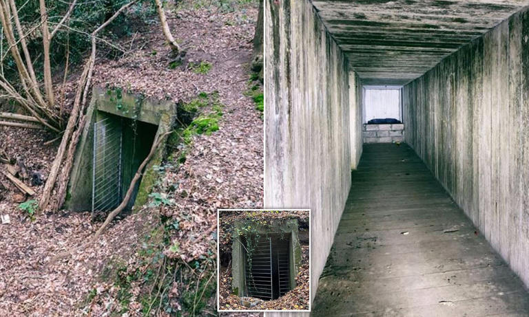 Your Own Wartime Bunker? Forgotten World War Two Shelter With Rumoured 