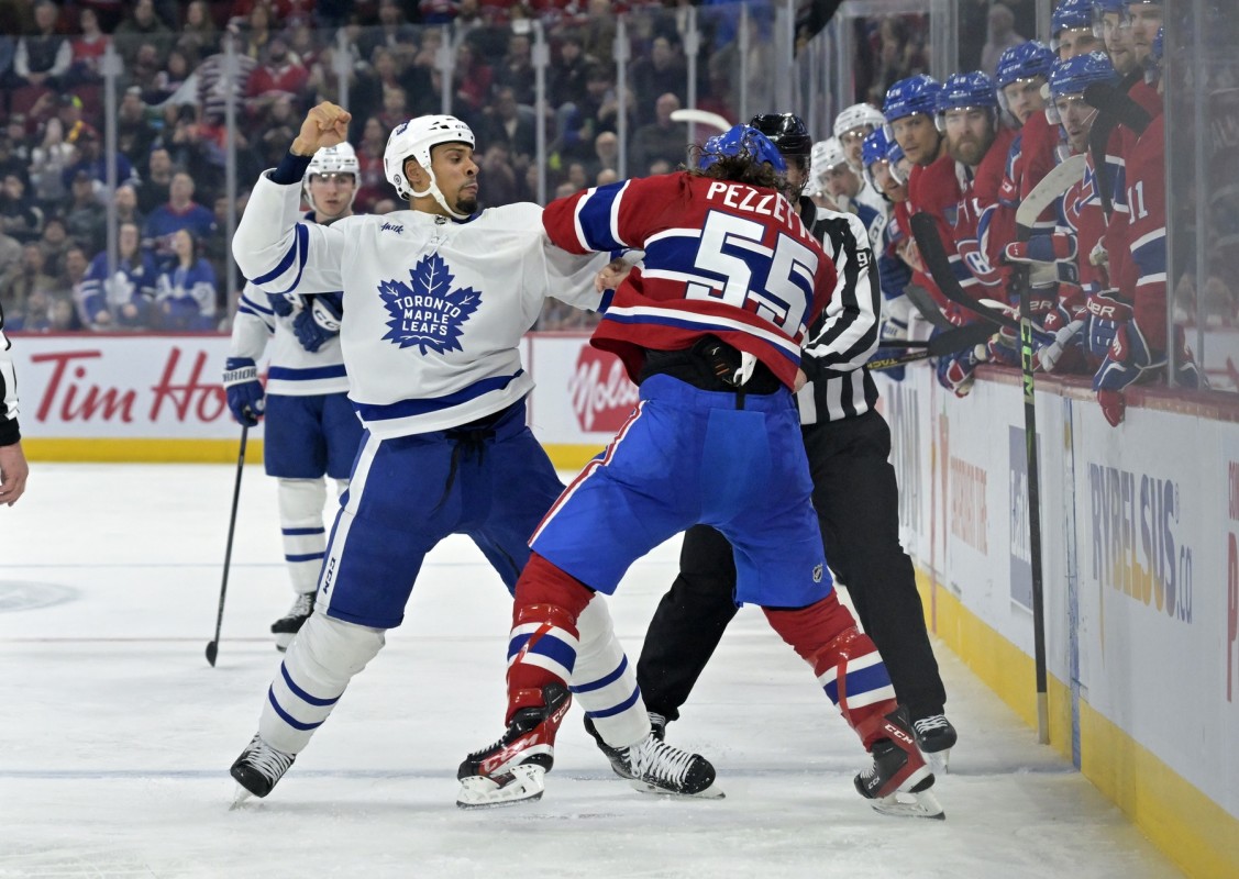 'He's Just An Animal, Honestly, He's A Beast': Maple Leafs' Ryan Reaves ...