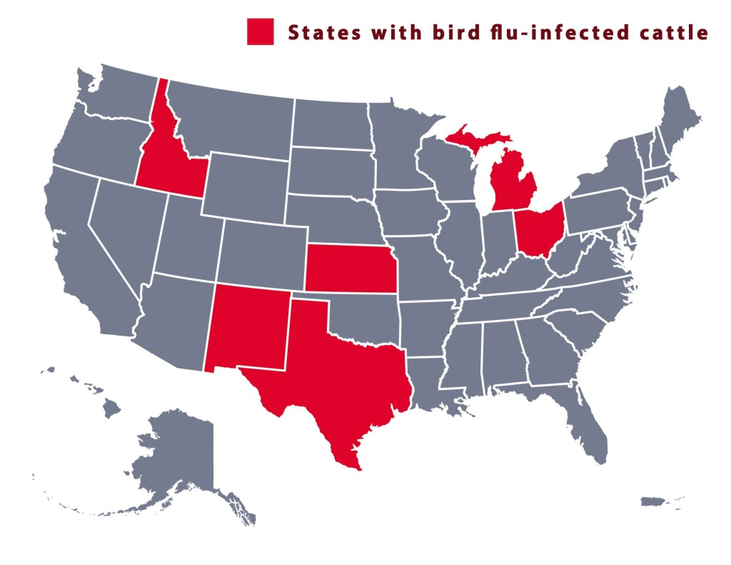 Map shows where bird flu is spreading in US as new warning issued