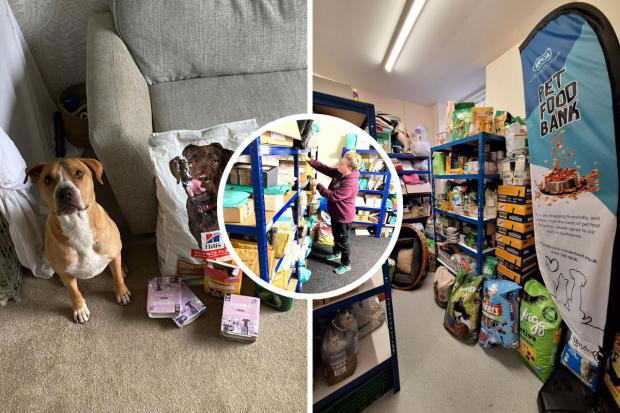 County Durham RSPCA pet food bank becomes 'lifeline' to owners in the ...